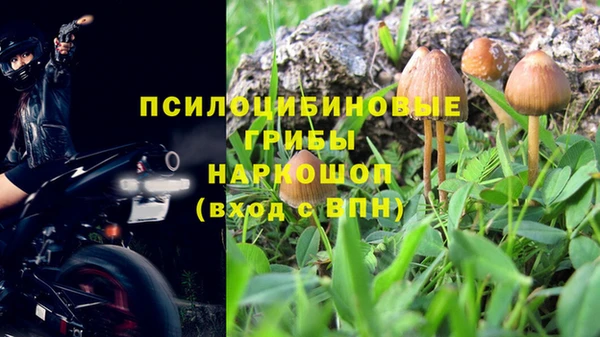 героин Абаза